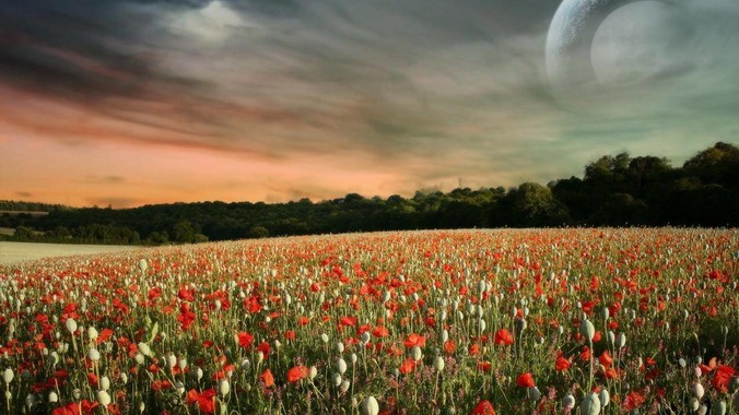 如何看待亮亮丽君夫妇中的女主又怀孕？